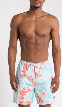 Quiksilver Mix Volley 17 Swim Trunks in Silver Birch at Nordstrom, Size Xx-Large