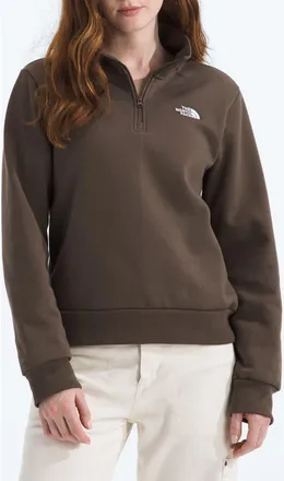 The North Face Evolution Quarter Zip Pullover in Smokey Brown at Nordstrom, Size Xx-Large