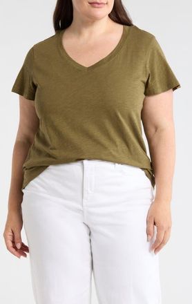 Sanctuary V-Neck T-Shirt in Burnt Olive Green at Nordstrom, Size 1X