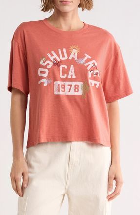 Vinyl Icons Joshua Tree Graphic Tee in Orange at Nordstrom Rack, Size X-Small