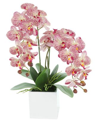 Creative Displays Inc. Contemporary Pink Orchid Arrangement In Square Fiberstone Pot