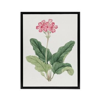 Artery8 Sakura Flower Framed Canvas Wall Art Print Vintage Japanese Botanical in Pink | Size: W24 x H32