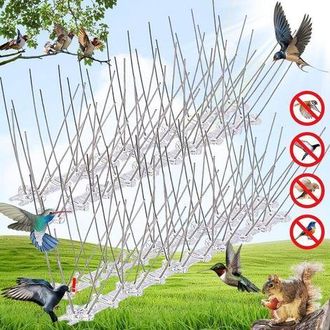 OEM 4 Trampas Para P&aacute;jaros De Acero Inoxidable: P&uacute;as Disuasorias Para Palomas, Cuervos Y Gaviotas, De Gran Tama&ntilde;o