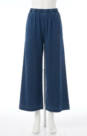 Z Supply Scout Jersey Denim Pant In Indigo