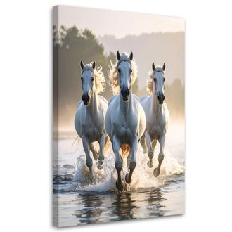 Feeby Impresi&oacute;n De Imagen, Caballos Blancos Galopando En El Agua, 70x100