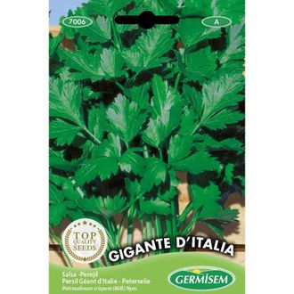 None Germisem Gigante DItalia Semi di Prezzemolo 10 g