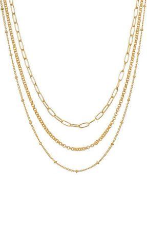 Satya Jewelry Layered Beauty Multiple Chain Necklace in Metallic Gold at Nordstrom