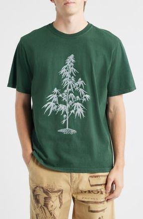 One Of These Days Away Go Trouble Graphic T-Shirt in Washed Forest Green at Nordstrom Rack, Size Medium