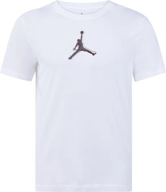 Nike Jordan Mens Air Jordan Dri-FIT 3D Logo Funny Printing Knit Quick Dry Short Sleeve White T-Shirt CZ8088-100