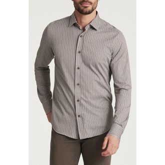 34 Heritage Stripe Button-Up Shirt in Brown at Nordstrom, Size Xx-Large