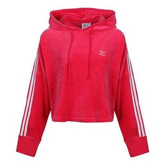 adidas (WMNS) adidas originals Cropped Hoodie Red GI7622