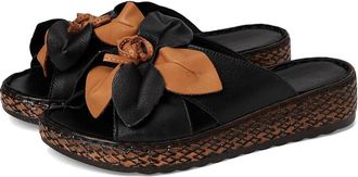 Spring Step Hilary Womens Shoes Black : EU 42 (US Womens 10.5-11) M, Leather