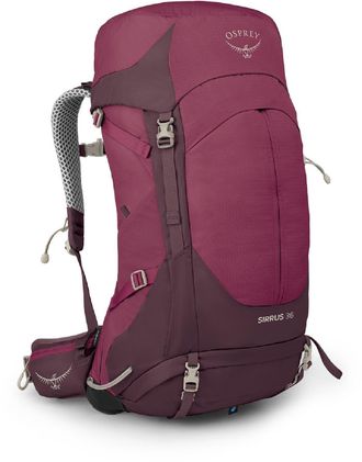 Osprey Womens Sirrus 36 Pack Purple