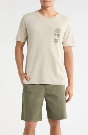 Roark Photograph Cotton Graphic T-Shirt in Fossil at Nordstrom, Size Xx-Large