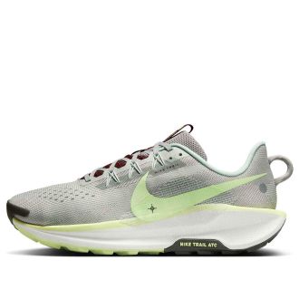 Nike Pegasus Trail 5 Light Silver College Grey Volt DV3864-004