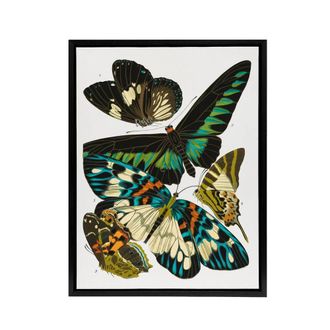 Artery8 Vintage Butterflies Green Blue Framed Canvas Wall Art Print Eugene Seguy | Size: W24 x H32