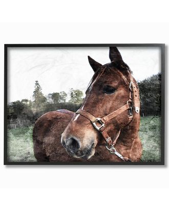 Stupell Industries Horse Posing In Field By Milli Villa Framed Art