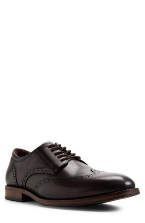 Aldo Harington Wingtip Derby in Dark Brown at Nordstrom, Size 10.5