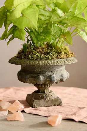 Terrain Mini Cast Iron Urn Planter