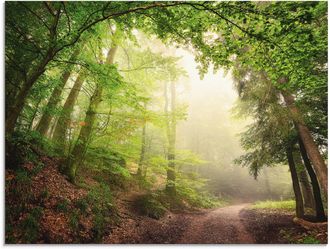 Artland Glasbild »Natürliche Torbögen durch Bäume« Wald 1 Stk. tlg. in verschiedenen Grössen