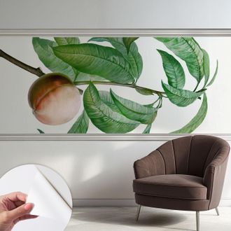 Tulup Carta Da Parati Adesiva - Fotomurale - Facile Da Applicare - Per La Soggiorno - Camera Da Letto - Pesca Matura 250x104 Cm