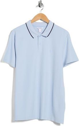 Calvin Klein Tipped Collar Cotton Blend Polo in Breezy Blue at Nordstrom Rack, Size Xx-Large