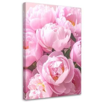 Feeby Impresi&oacute;n De Imagen, Flores De Peon&iacute;a Rosa Naturaleza, 70x100