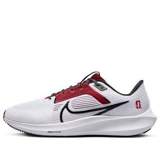 Nike Air Zoom Pegasus 40 Stanford FQ2145-100
