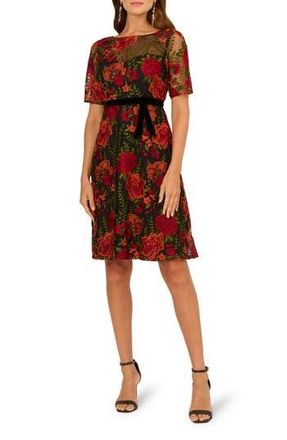 Adrianna Papell Floral Embroidered Cocktail Dress in Red/Black Multi at Nordstrom Rack, Size 4