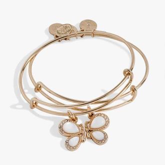 Alex and Ani Perfect Pairs- Butterfly Wings Bangle Set of 2 in Gold at Nordstrom