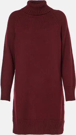 Max Mara Trudy virgin wool turtleneck minidress