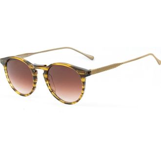 Belstaff BROOKLAND-S031 Panthos (Tea Cup) Sunglasses in Brown