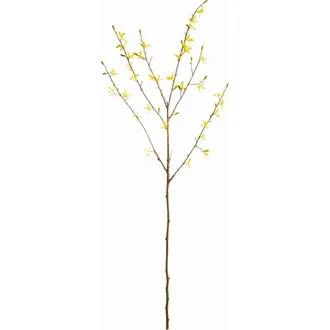 Napa Home & Garden Forsythia Yellow Polyester Stems 47 Set of 6 at Nordstrom