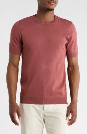T.R. Premium Short Sleeve Knit Sweater in Mauve at Nordstrom Rack, Size Xx-Large
