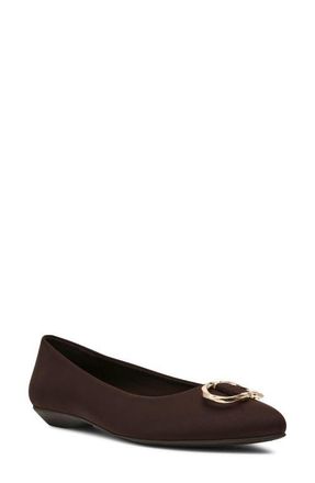 Anne Klein Oswego Pointed Toe Flat in Chocolate Stretch at Nordstrom, Size 8.5