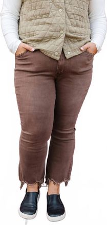 Flying Monkey Edgewood Beach Pants In Brown