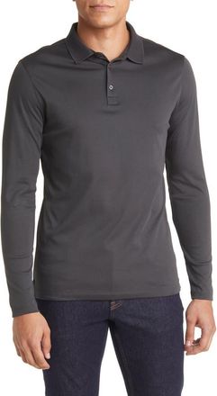 Robert Barakett Georgia Long Sleeve Polo in Cannon at Nordstrom, Size Xxx-Large