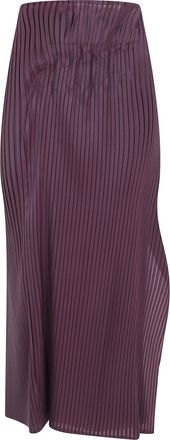 Issey Miyake Skirt Long Pleated On Pleats
