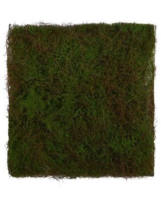 Nearly Natural 20X20in Artificial Moss Mat