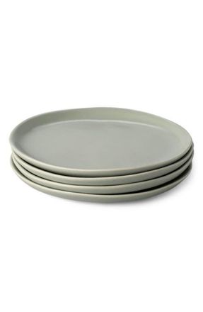 Fable Interiors The Dessert Set of 4 Plates in Beachgrass Green at Nordstrom