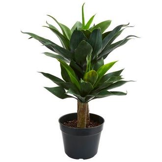 Nearly Natural 29-in Double Agave Succulent Artificial Plant in Green at Nordstrom