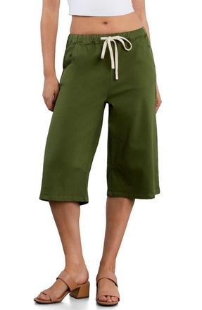 HINT OF BLU Relaxed Drawstring Denim Jorts in Vineyard Green at Nordstrom, Size X-Large