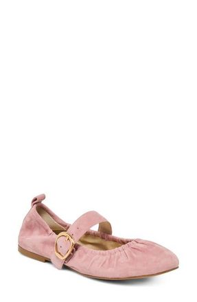 Dolce Vita Caely Mary Jane Flat in Blush Suede at Nordstrom, Size 7