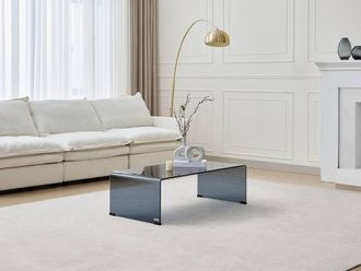 Vente-Unique Curved Smoked Tempered Glass Coffee Table - Black - ALONZO in Clear