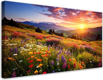 Feeby Cuadro Sobre Lienzo, Pradera Con Flores Silvestres Paisaje De Monta&ntilde;a, 120x60