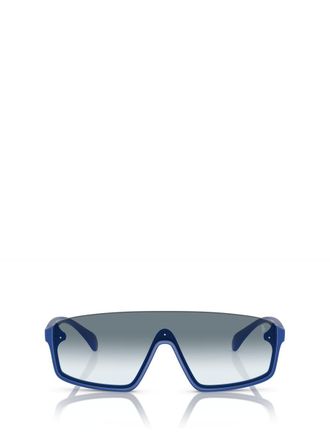 Polo Ralph Lauren Sunglasses