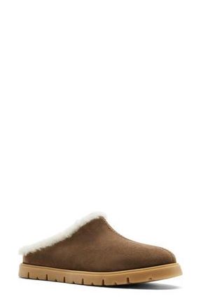 La Canadienne Eva City Dry Waterproof Shearling Lined Slipper in Toffee Suede at Nordstrom Rack, Size 8
