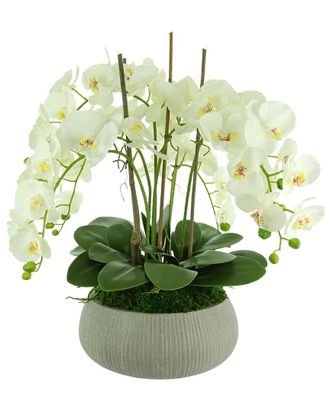 Creative Displays Inc. White Orchid Arrangement In A Round Planter