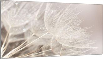 OEM Placa Protectora De Vidrio Para Estufa 90x52 Flor