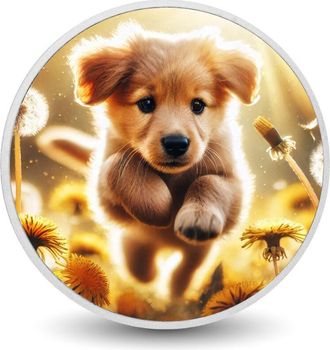 OEM Moneda Plateada De 1 Oz De Dandelion Dash